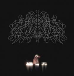 Aylwin : Soil and Cold MMXIII